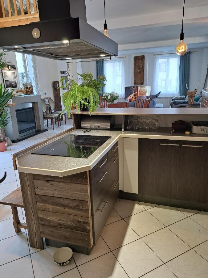 Gite Redrooster Home - 160M2, 4 Ch, 2 Sdb, Fibre, Parking, Sauna, Bain A Remous Theys Zewnętrze zdjęcie